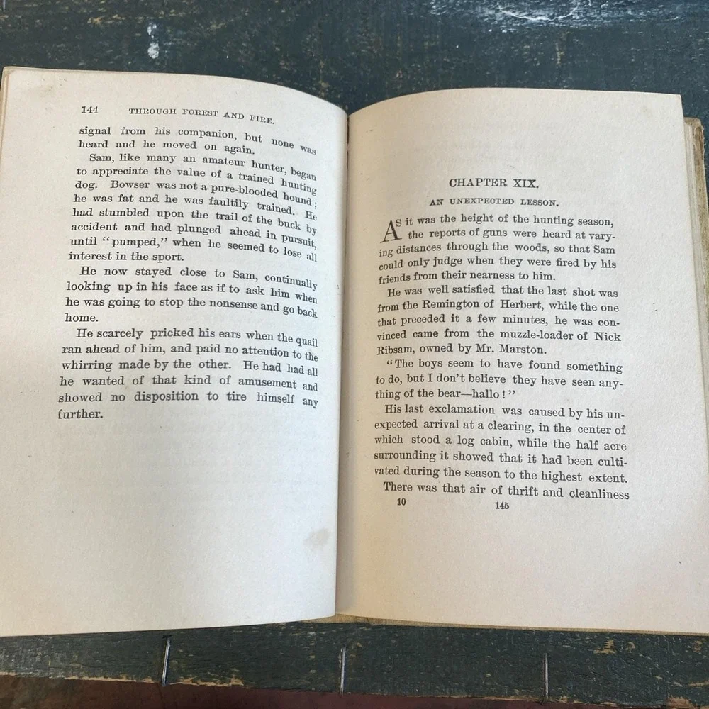 Through Forest and Fire‎ by Edward S. Ellis -1901 Hardcover Book